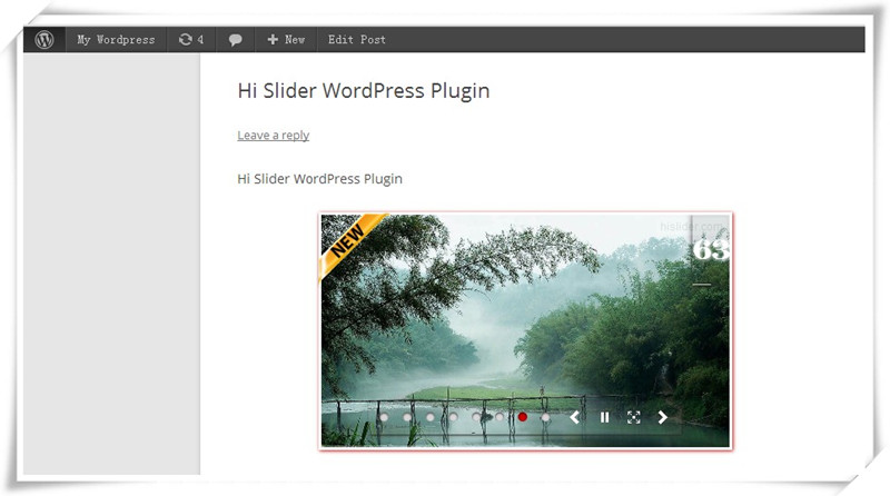 display wordpress plugin slider